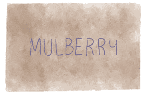 Mulberry